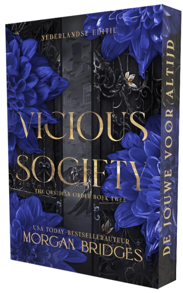 Vicious society – Morgan Bridges – boek cover