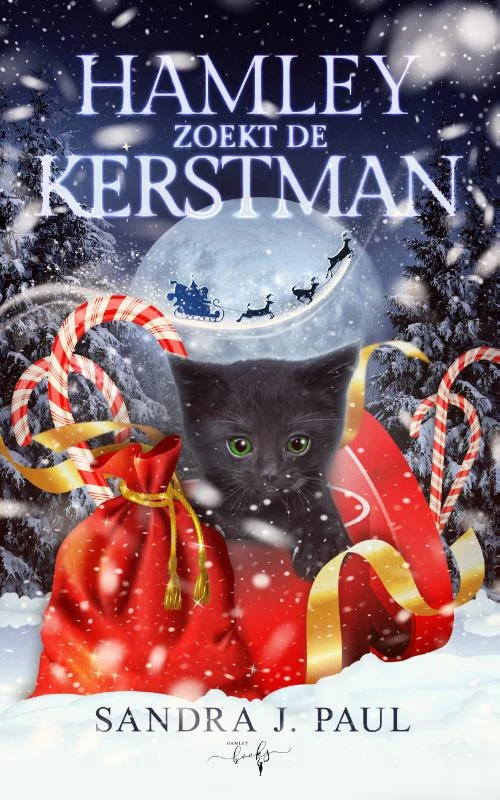 Hamley zoekt de Kerstman – Sandra J. Paul – boek cover