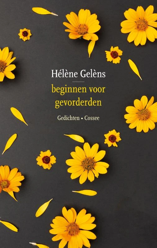 Beginnen voor gevorderden – Hélène Gelèns – boek cover