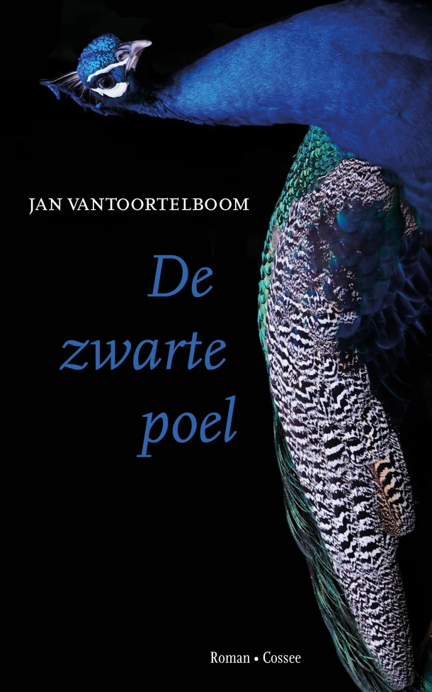 De zwarte poel – Jan Vantoortelboom – boek cover