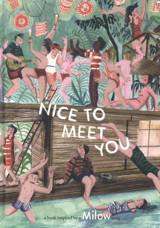 Nice To Meet You – boek cover