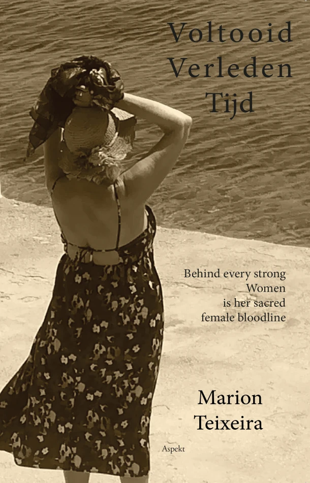 Voltooid verleden tijd – Marion Teixeira – boek cover