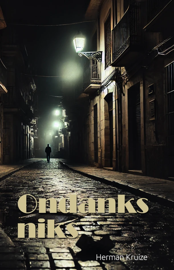Ondanks niks – Herman Kruize – boek cover