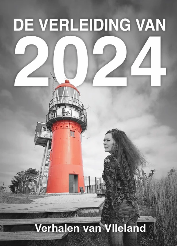 De verleiding van 2024 – Elly Wassenaar – boek cover