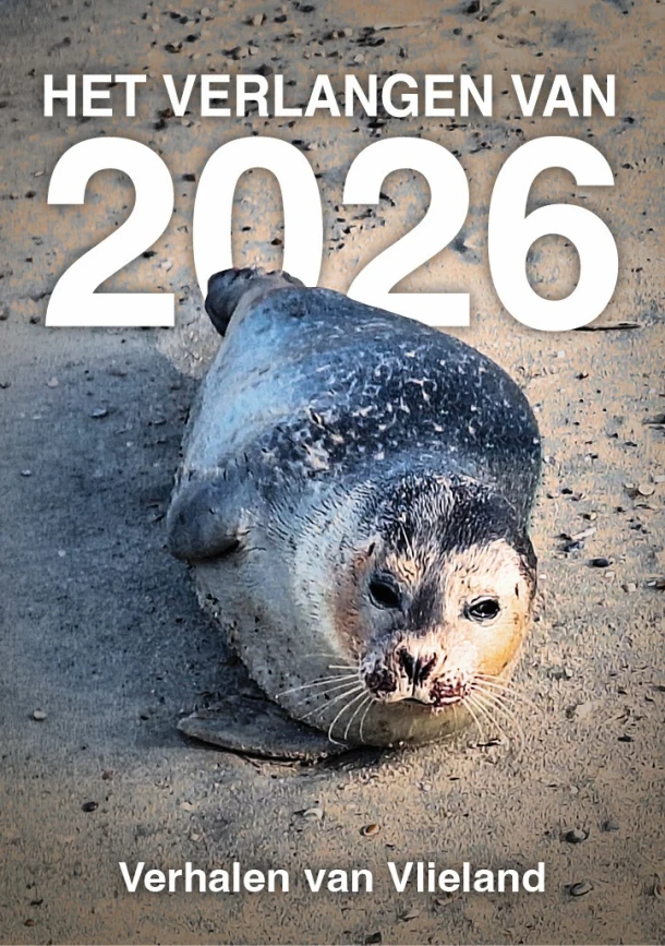 Het verlangen van 2026 – Elly Wassenaar – boek cover