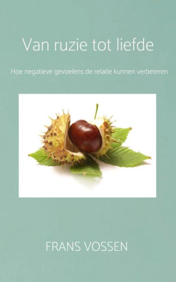 Van ruzie tot liefde – Frans Vossen – boek cover