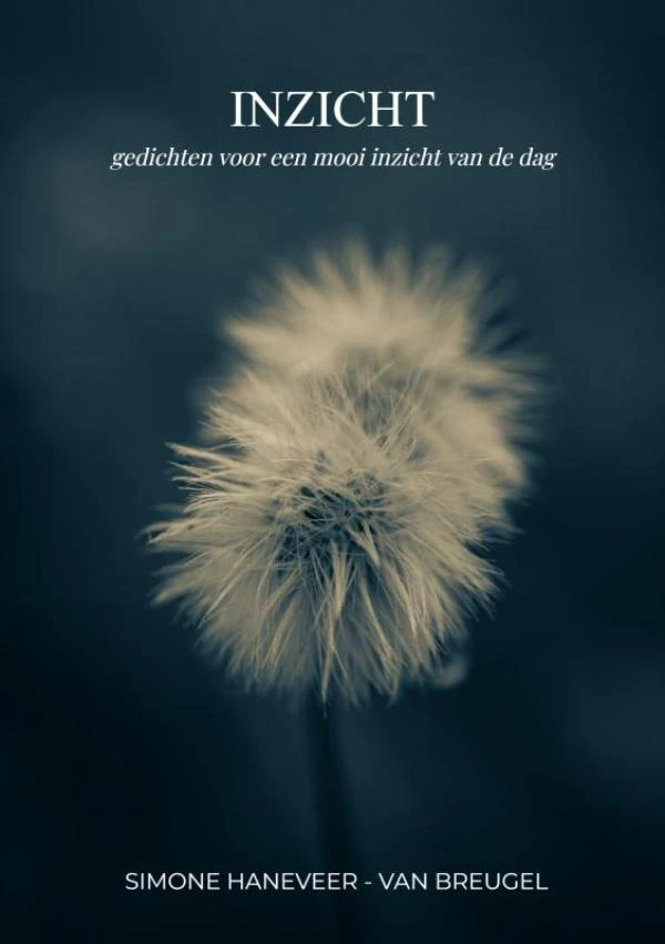 Inzicht – Simone Haneveer-van Breugel – boek cover