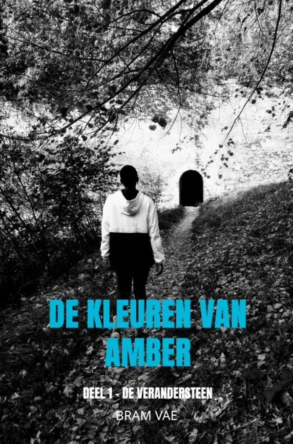 De kleuren van Amber – Bram Vae – boek cover
