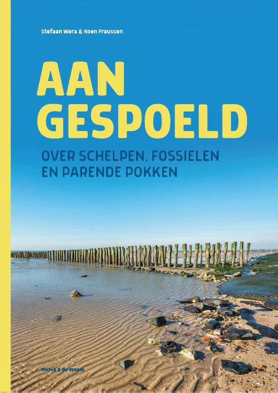 Aangespoeld – Stefaan Wera – boek cover