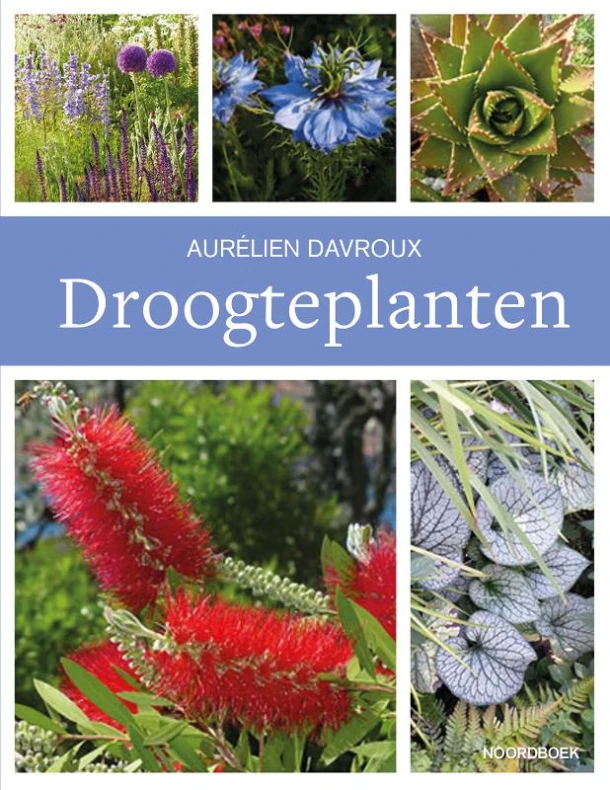 Droogteplanten – Aurélien Davroux – boek cover