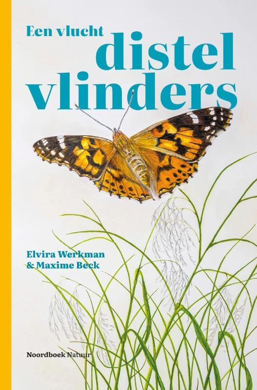 Een vlucht distelvlinders – Elvira Werkman – boek cover