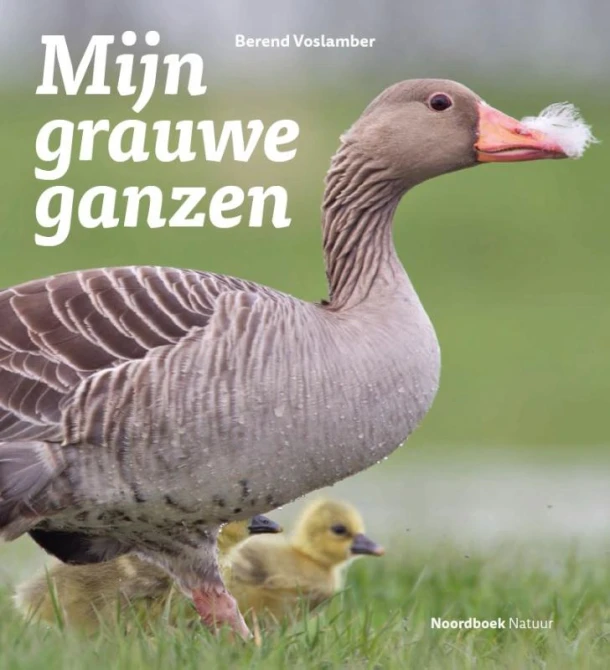 Mijn grauwe ganzen – Berend Voslamber – boek cover
