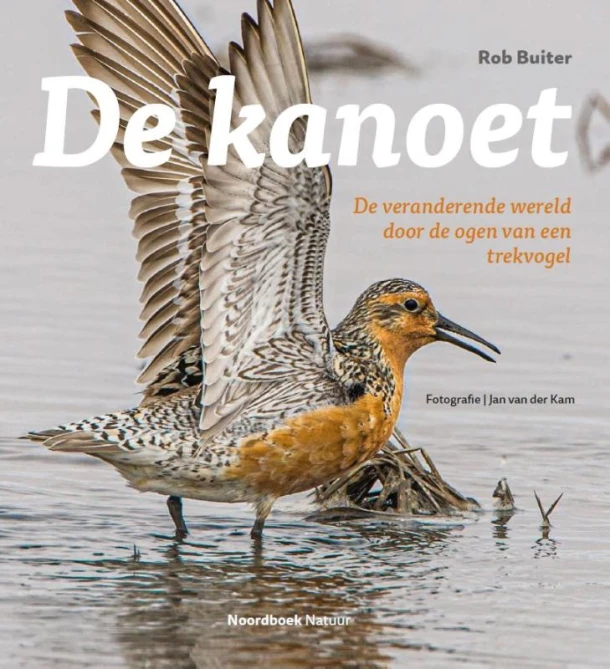 De kanoet – Rob Buiter – boek cover