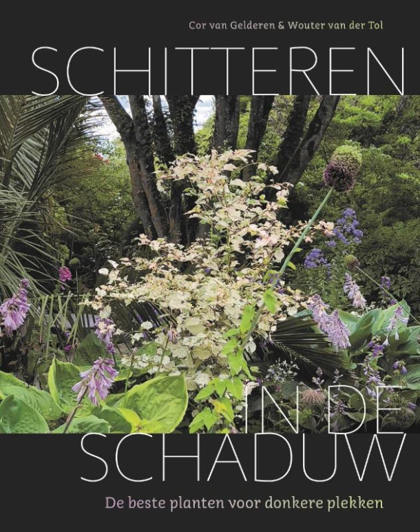 Schitteren in de schaduw – Cor van Gelderen – boek cover