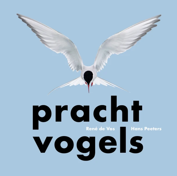 Prachtvogels – René de Vos – boek cover