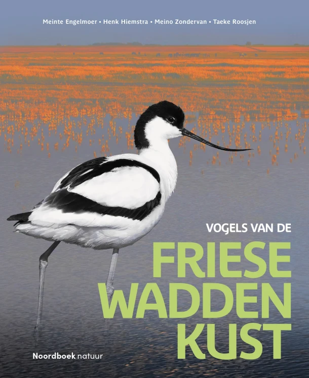 Vogels van de Friese Waddenkust – Meinte Engelmoer – boek cover