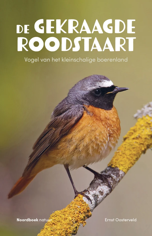 De gekraagde roodstaart – Ernst Oosterveld – boek cover