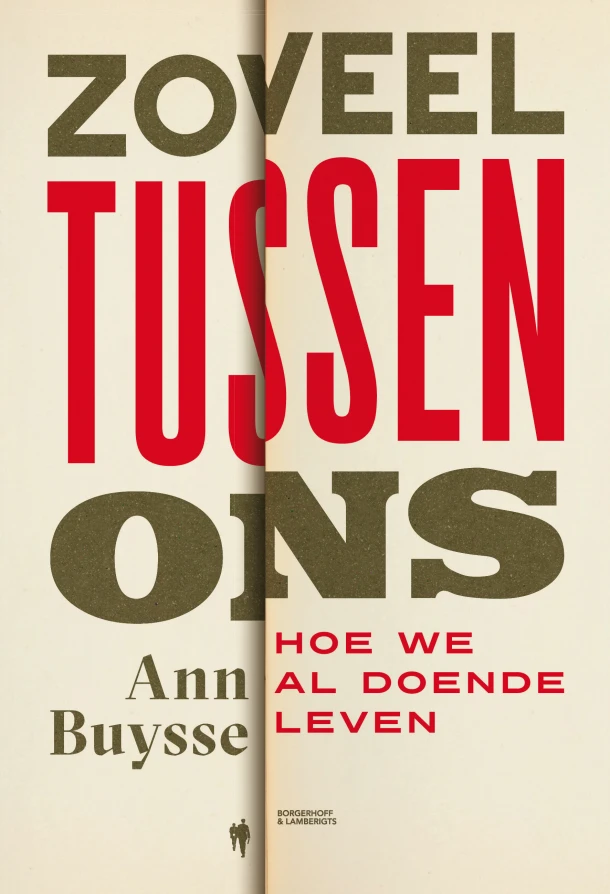 Zoveel tussen ons – Ann Buysse – boek cover