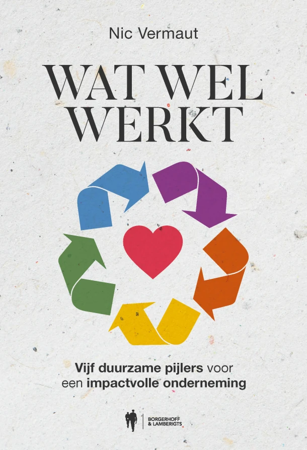 Wat wel werkt – Nic Vermaut – boek cover
