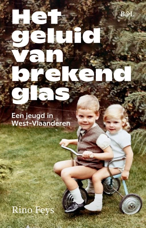 Het geluid van brekend glas – Rino Feys – boek cover