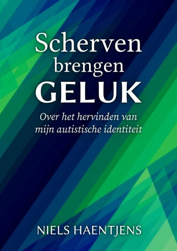 Scherven brengen geluk – Niels Haentjens – boek cover
