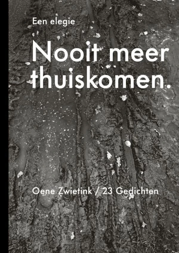 Nooit meer thuiskomen, een elegie – Oene Zwietink – boek cover