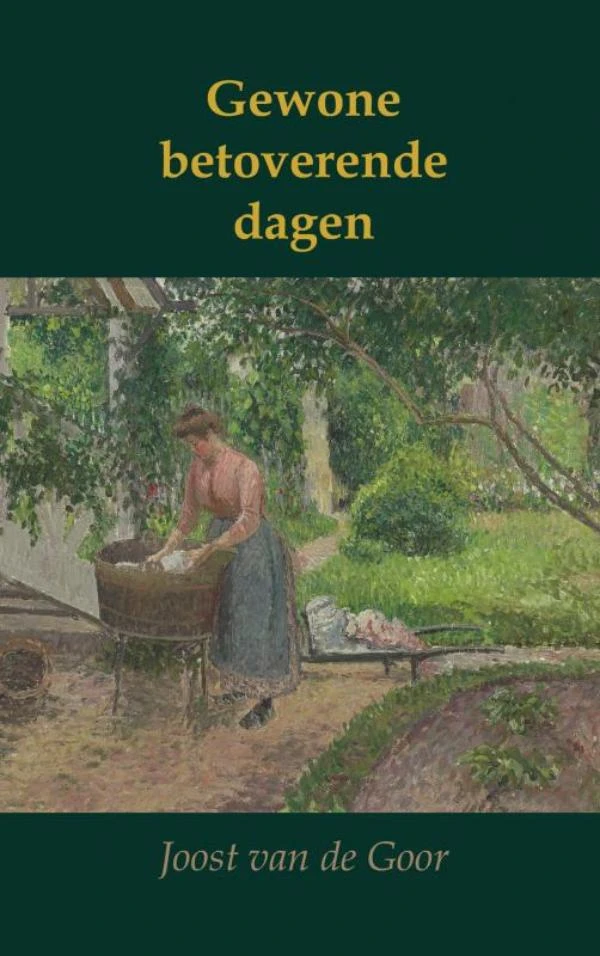 Gewone betoverende dagen – Joost Van de Goor – boek cover