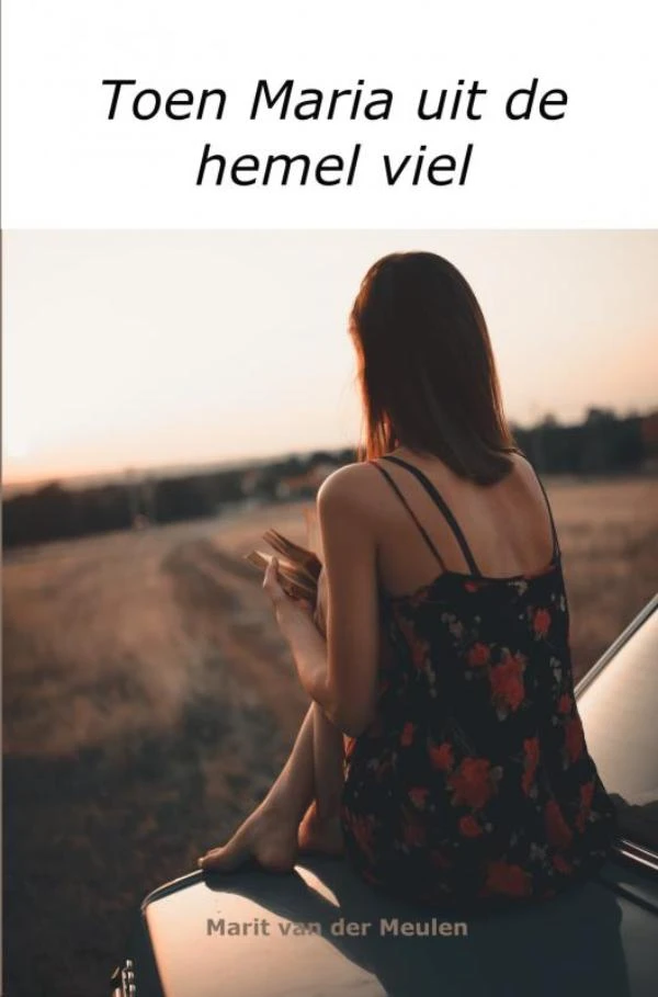 Toen Maria uit de hemel viel – Marit Van der Meulen – boek cover
