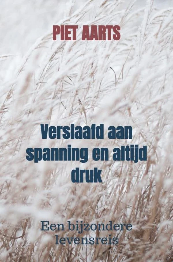 Verslaafd aan spanning en altijd druk – Piet Aarts – boek cover