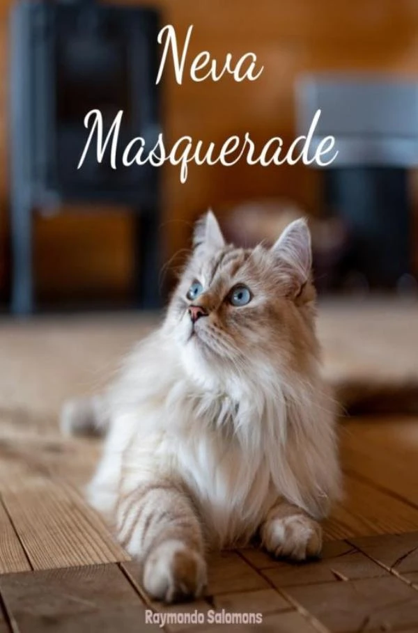 Neva Masquerade – Raymondo Salomons – boek cover