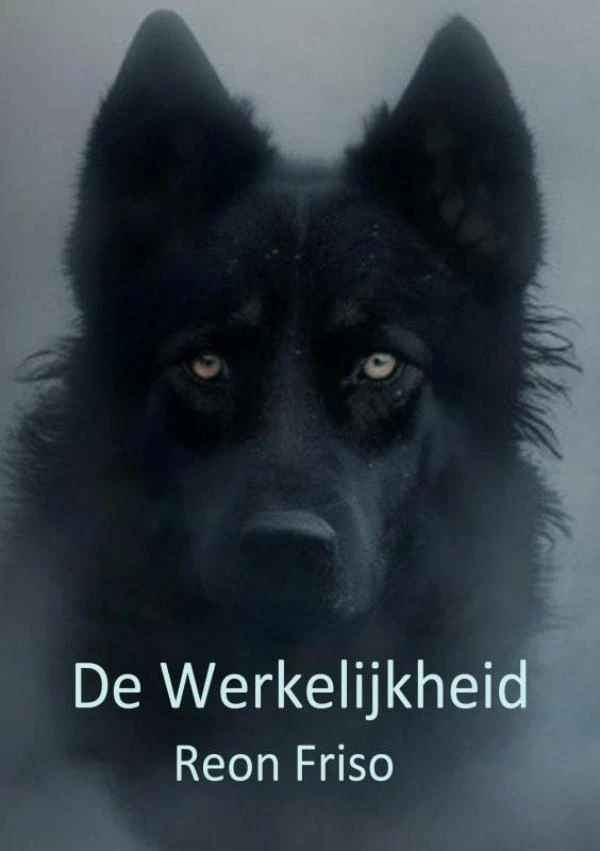 De Werkelijkheid – Reon Friso – boek cover