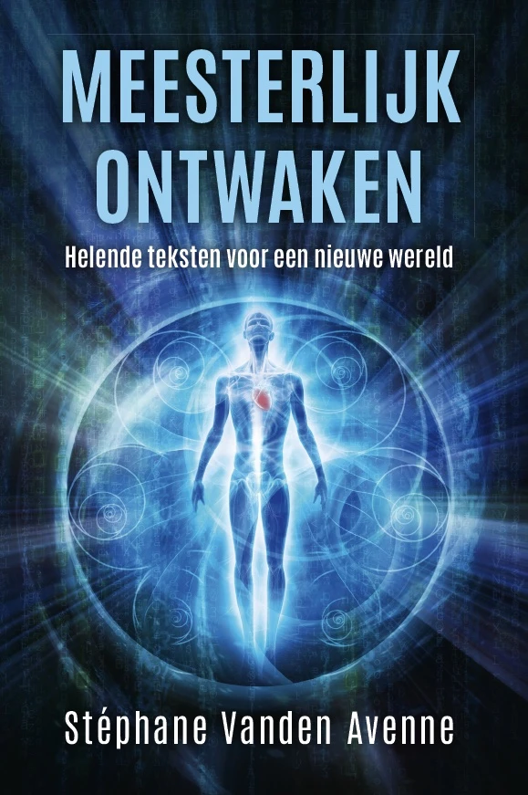 Meesterlijk Ontwaken – Stéphane Vanden Avenne – boek cover