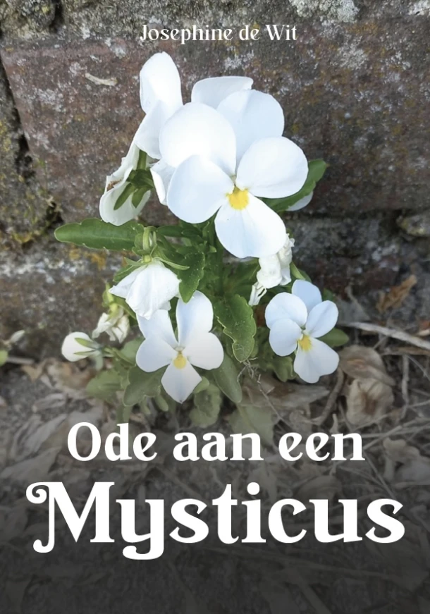 Ode aan een Mysticus – Josephine de Wit – boek cover