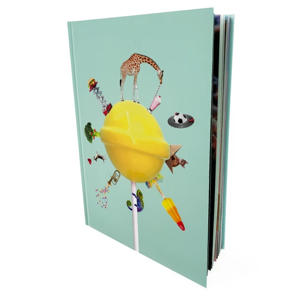 Het grote kijkboek – Kristel van Klaveren – boek cover