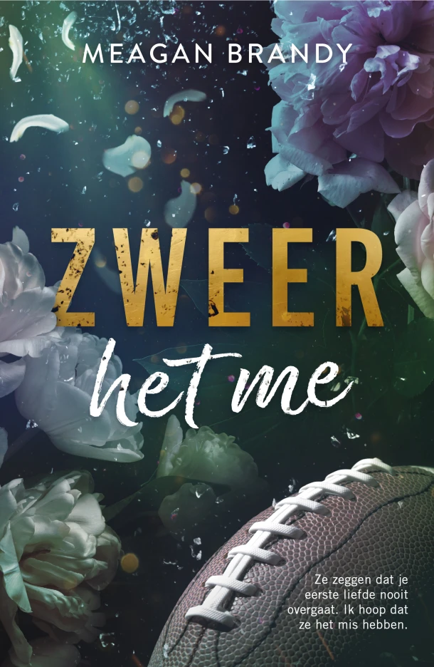 Zweer het me – Meagan Brandy – boek cover
