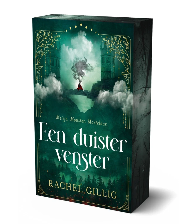 Een duister venster – Rachel Gillig – boek cover