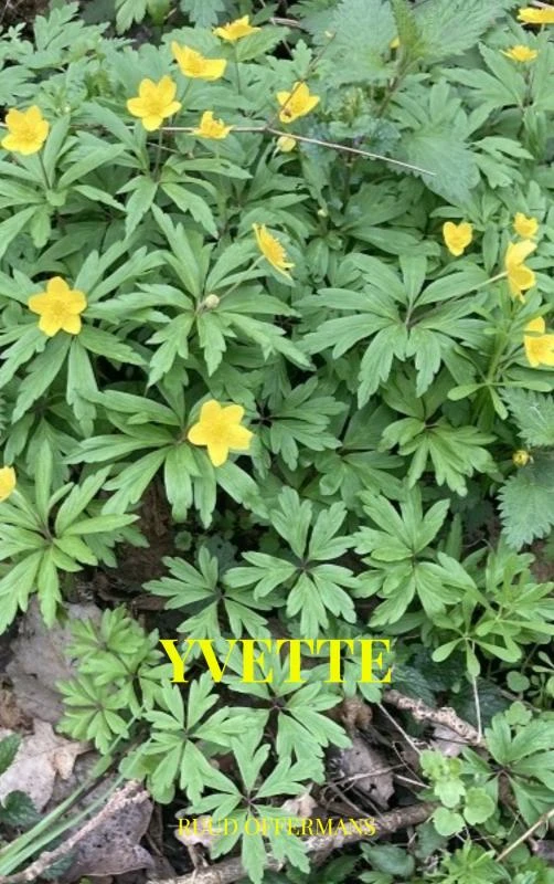 Yvette
