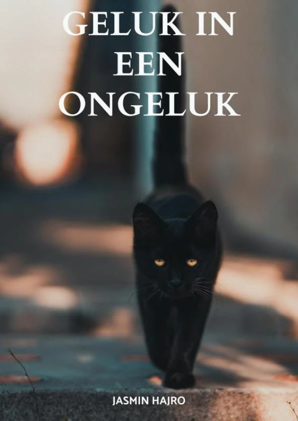 Geluk in een ongeluk – Jasmin Hajro – boek cover