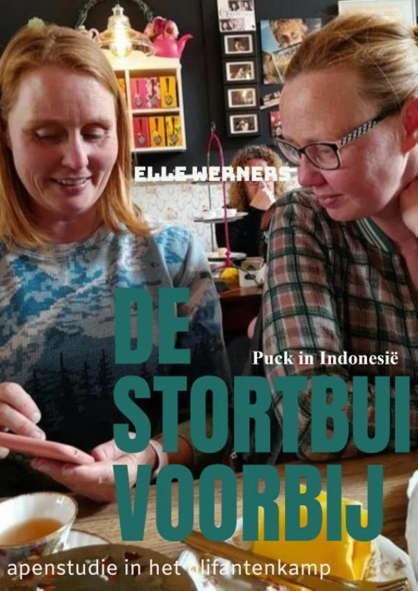 DE STORTBUI VOORBIJ – Elle Werners – boek cover