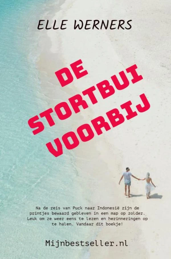DE STORTBUI VOORBIJ – Elle Werners – boek cover