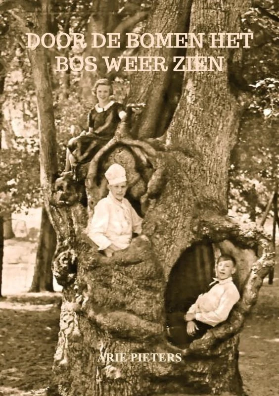 Door de bomen het bos weer zien – Arie Pieters – boek cover