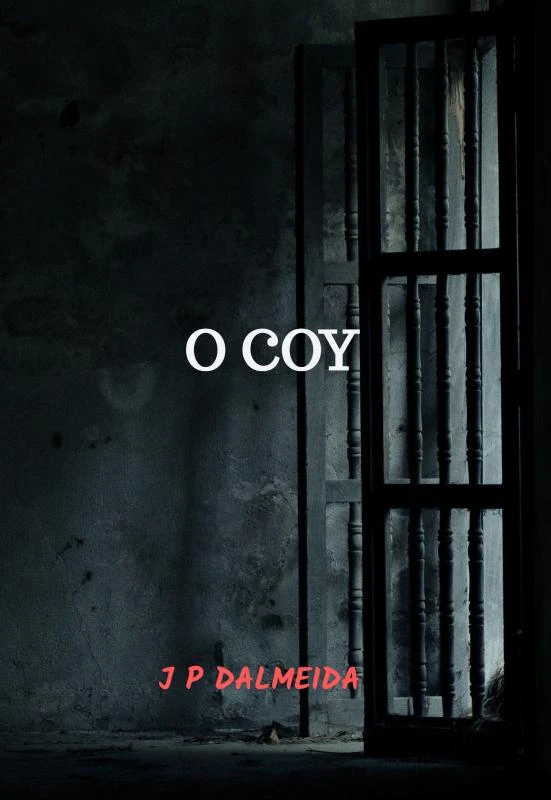 O COY – J P Dalmeida – boek cover