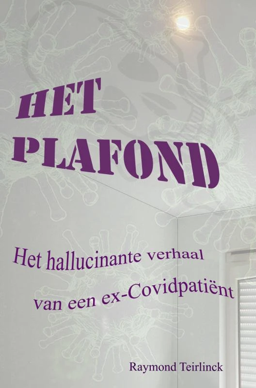 Het Plafond – Raymond Teirlinck – boek cover