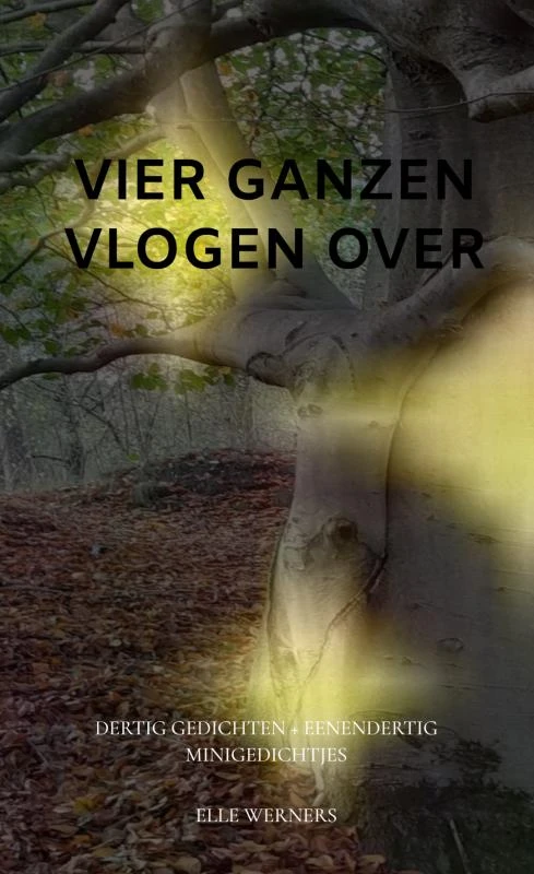 VIER GANZEN VLOGEN OVER – Elle Werners – boek cover