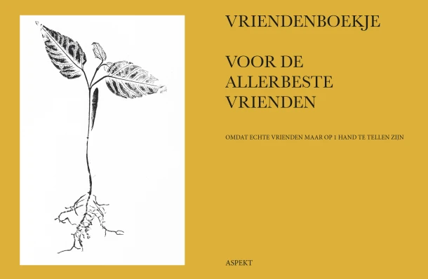 Vriendenboekje voor de allerbeste vrienden – Kobe Lecompte – boek cover