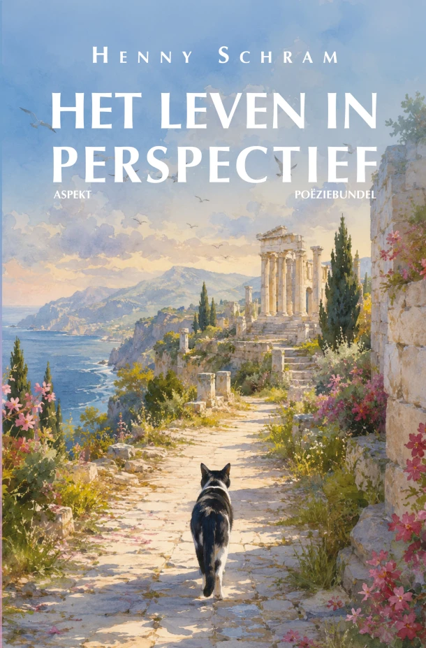 Het Leven in Perspectief – Henny Schram – boek cover