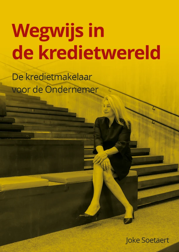 Wegwijs in de kredietwereld – Joke Soetaert – boek cover