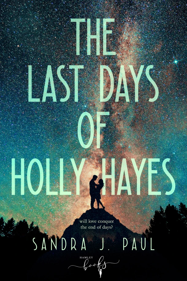 The Last Days of Holly Hayes – Sandra J. Paul – boek cover
