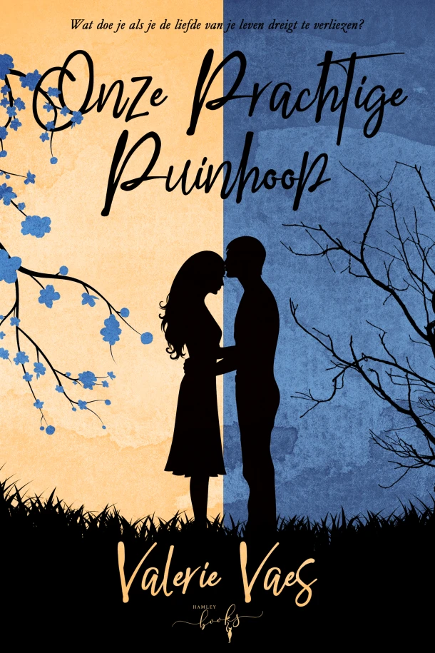 Onze prachtige puinhoop – Valerie Vaes – boek cover