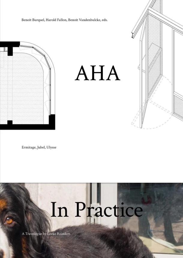 AHA In Practice – Leeke Reinders – boek cover